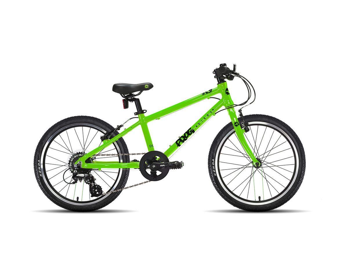 Frog 53 - Image 3