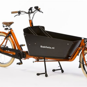 Cargobike Cruiser Long Steps