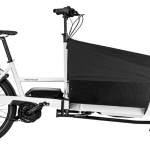 Riese&Müller Transporter 65