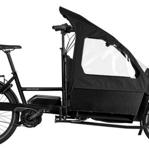 Riese&Müller Transporter2 65