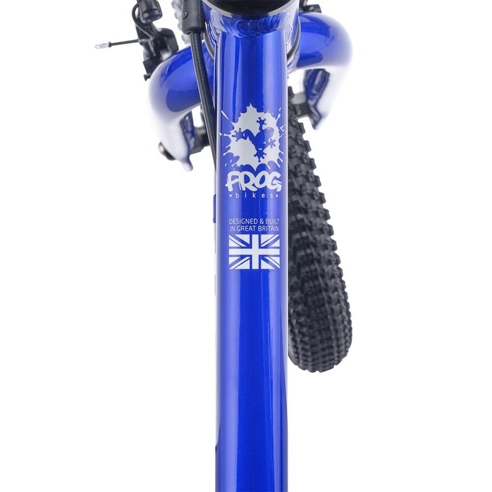 Frog 38 - Image 5